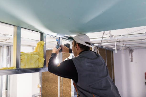 Best Affordable Insulation Services  in Awendaw, SC