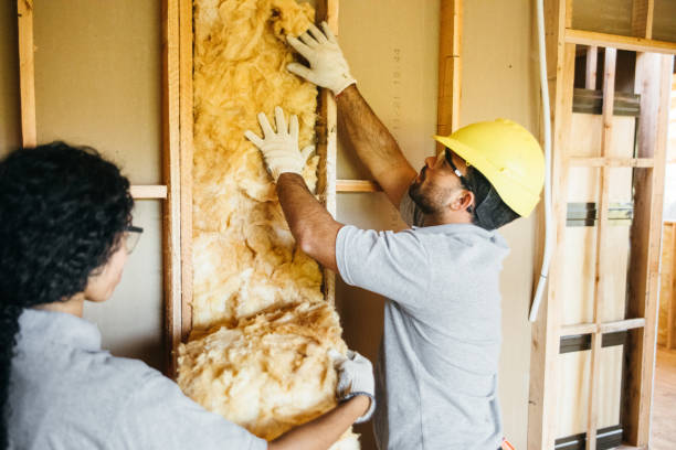 Best Commercial Insulation Contractor  in Awendaw, SC