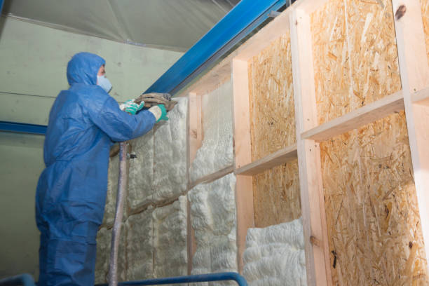 Best Garage Insulation Installation  in Awendaw, SC